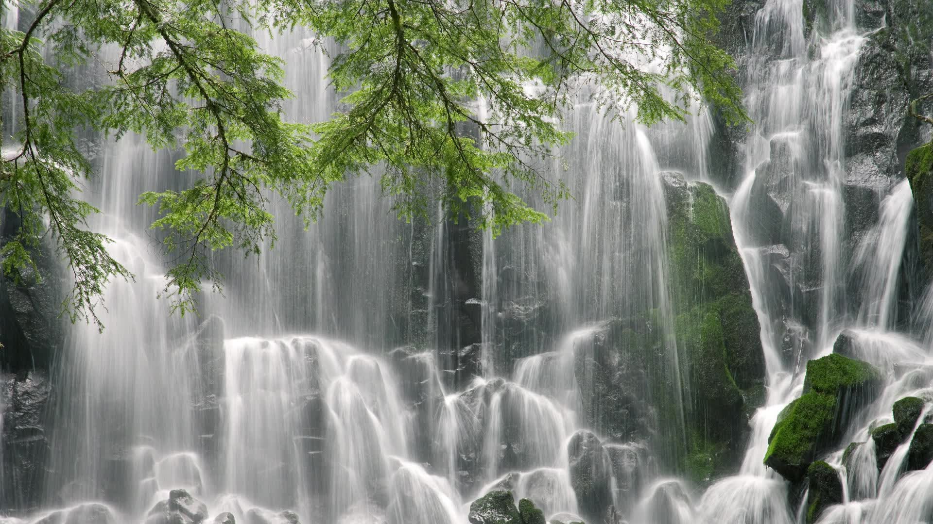 世界保龄球青年联赛青训营导师资格认证第四批启动,保龄球选手世界排名